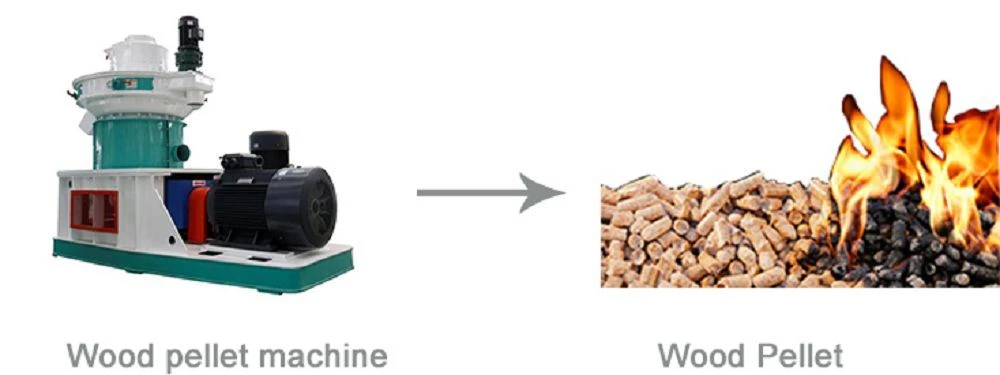 product-1-1 1(001)