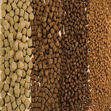500kg-h-grass-fish-feed-machines