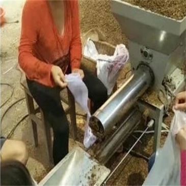 product-365-365 220-kw-250-edible-fungus-bagging-machine