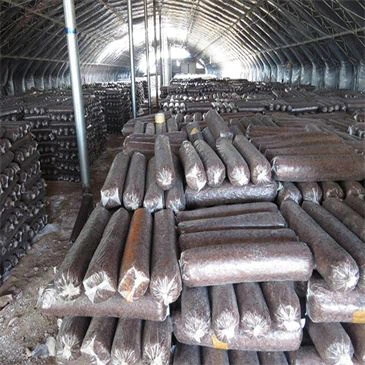 mushroom-cultivation-bag-filling-machine