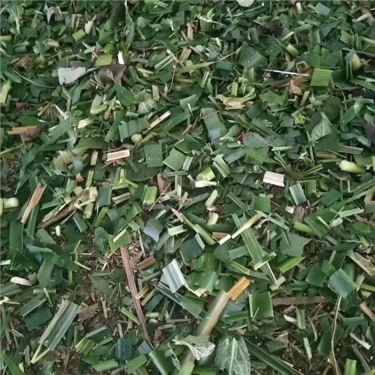 Hay Chaff Cutter
